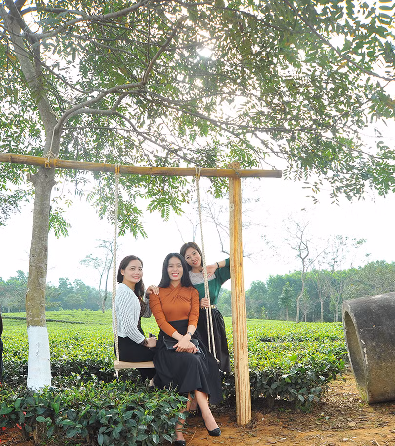 Đồi chè Hương Trà hút khách tham quan dịp tết