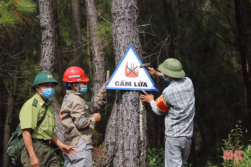 Nỗ lực gìn giữ, bảo vệ “lá phổi xanh” cho Hà Tĩnh