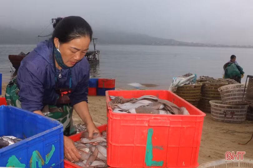 Chuyến biển cuối năm đầy vị “ngọt” của ngư dân Cẩm Nhượng