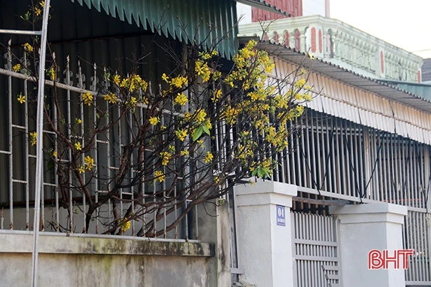 TX Kỳ Anh sẽ không còn “nhà không số, phố không tên” ở 6 phường trung tâm