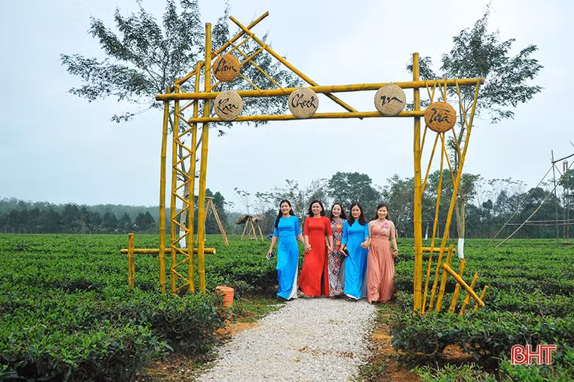 Đồi chè Hương Trà hút khách tham quan dịp tết