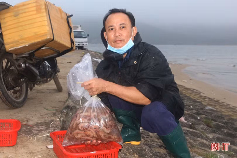 Chuyến biển cuối năm đầy vị “ngọt” của ngư dân Cẩm Nhượng