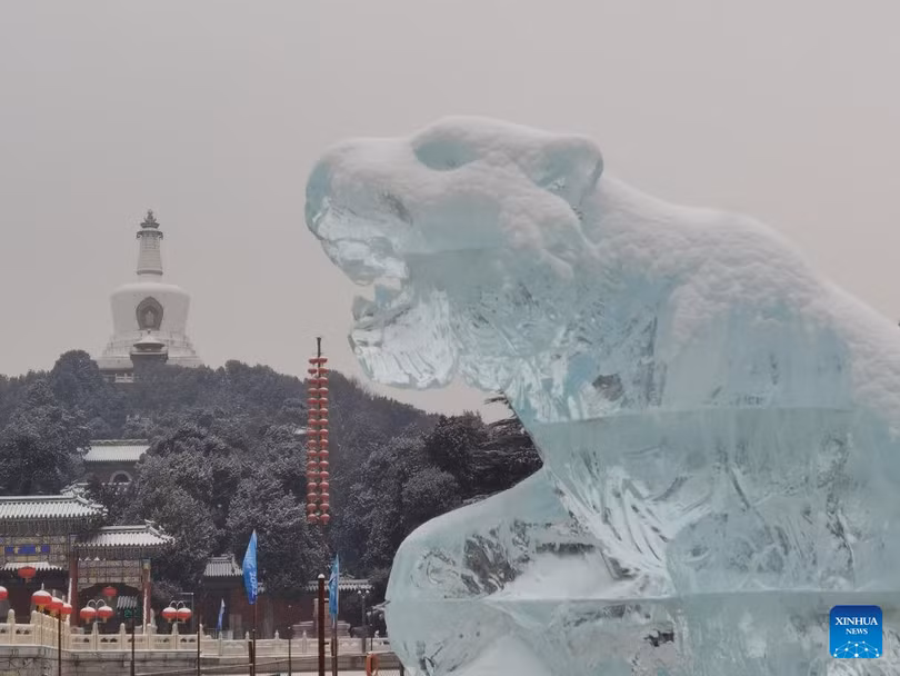 Rộn ràng không khí chuẩn bị đón tết Nguyên đán Nhâm Dần ở các nước