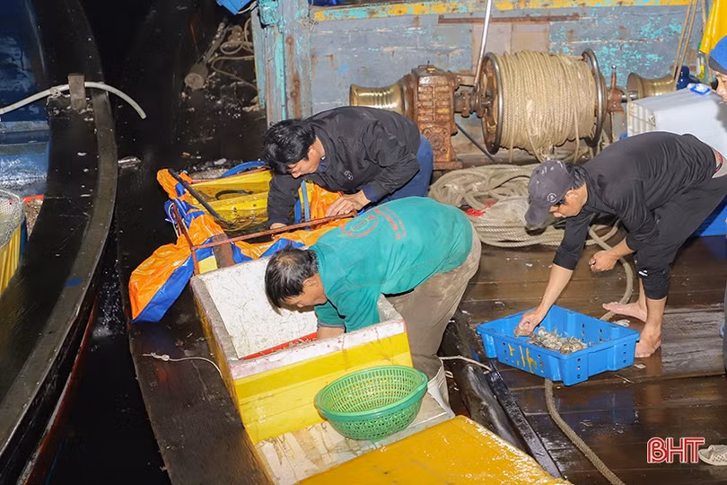 Cảng cá lớn nhất Hà Tĩnh nhộn nhịp ngày cuối năm