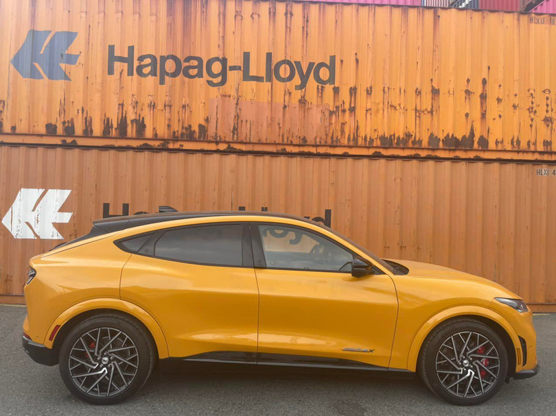 Xe điện Ford Mustang Mach E 2022 đầu tiên về Việt Nam