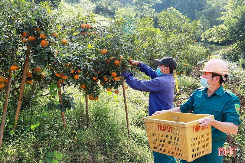 Xuân về trên những miền quê nông thôn mới
