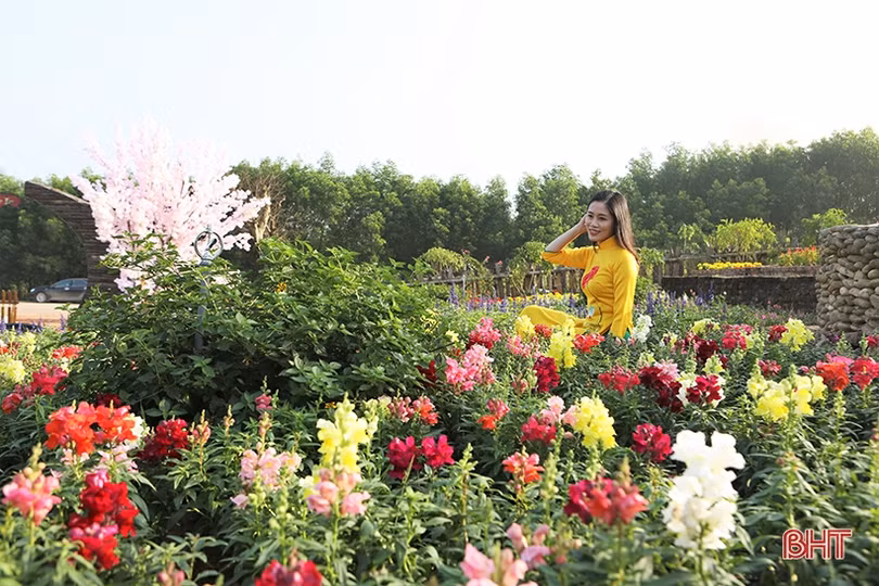 Khu sinh thái Đá Bạc - điểm “check in” hấp dẫn đón xuân mới ở Hà Tĩnh