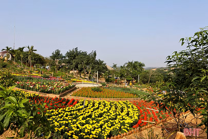 Khu sinh thái Đá Bạc - điểm “check in” hấp dẫn đón xuân mới ở Hà Tĩnh