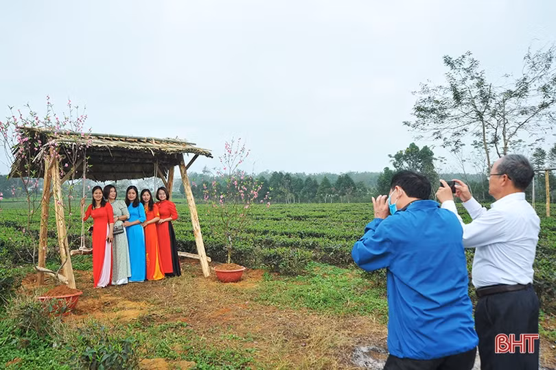 Đồi chè Hương Trà hút khách tham quan dịp tết
