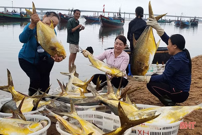 Thủy sản Hà Tĩnh vượt “giông bão”