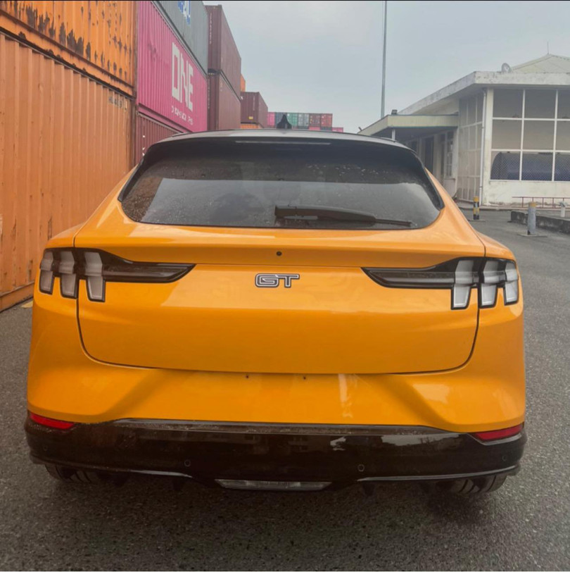 Xe điện Ford Mustang Mach E 2022 đầu tiên về Việt Nam