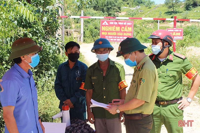Nỗ lực gìn giữ, bảo vệ “lá phổi xanh” cho Hà Tĩnh