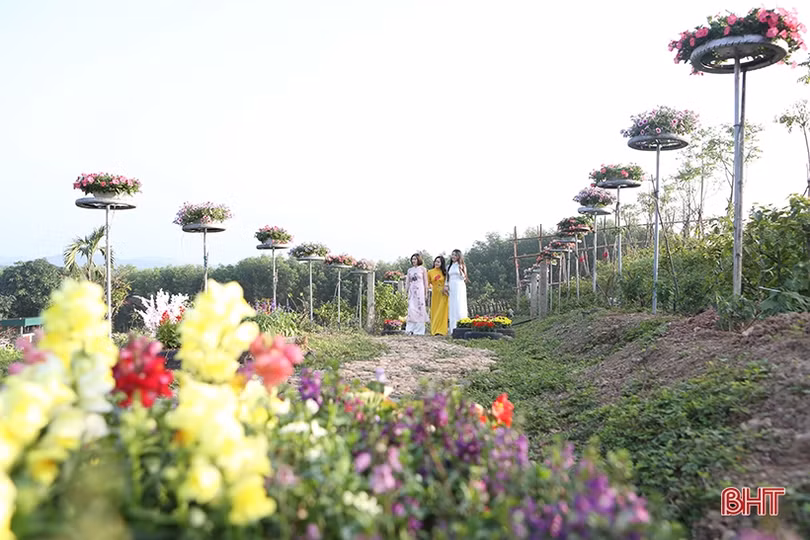 Khu sinh thái Đá Bạc - điểm “check in” hấp dẫn đón xuân mới ở Hà Tĩnh