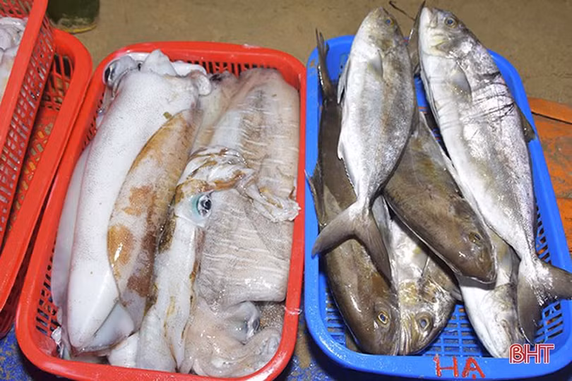 Thủy sản Hà Tĩnh vượt “giông bão”