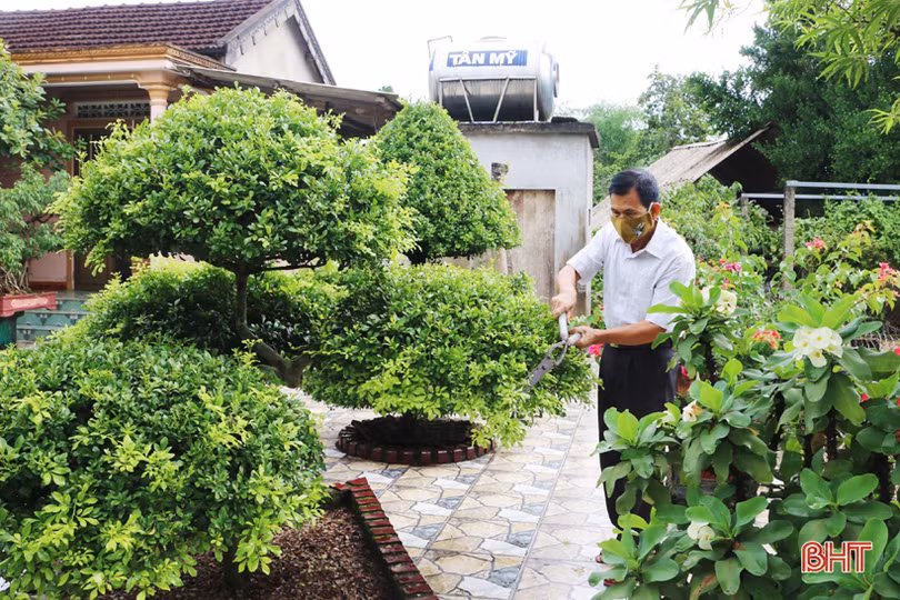 Khí chất Vũ Quang