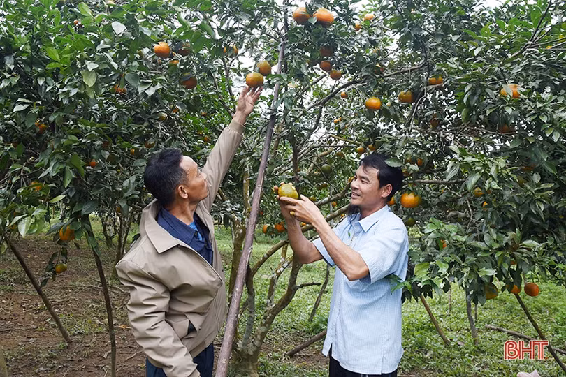 Đồng bào dân tộc Lào Thưng xây cuộc sống mới nơi biên viễn Hà Tĩnh