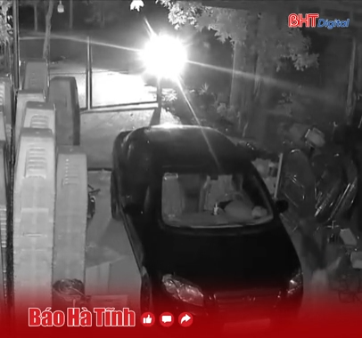 Cẩu tặc liều lĩnh trộm chó lúc sáng sớm 