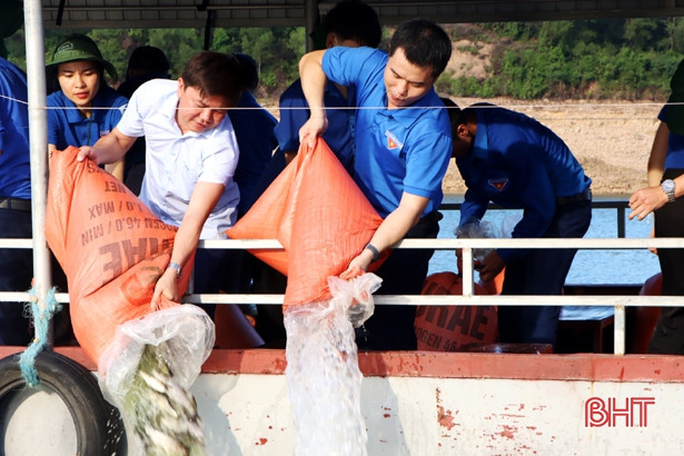 Tuổi trẻ Cẩm Xuyên thả 500 kg cá giống về Khu Bảo tồn thiên nhiên Kẻ Gỗ