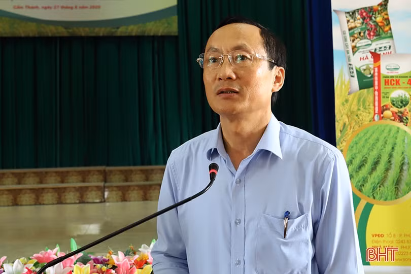 Sản xuất lúa theo tiêu chuẩn hữu cơ gắn với sản phẩm OCOP cho kết quả khả quan