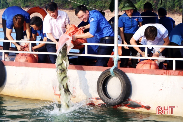 Tuổi trẻ Cẩm Xuyên thả 500 kg cá giống về Khu Bảo tồn thiên nhiên Kẻ Gỗ