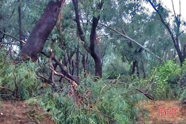 Lốc xoáy làm tốc mái 9 nhà dân ở xã ven biển Hà Tĩnh