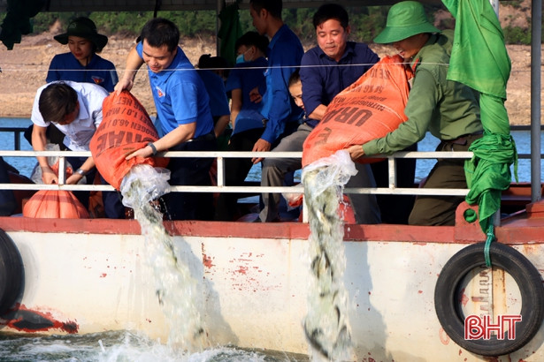 Tuổi trẻ Cẩm Xuyên thả 500 kg cá giống về Khu Bảo tồn thiên nhiên Kẻ Gỗ