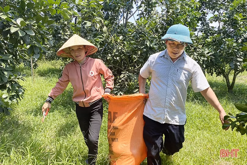 Viettel Post quảng bá, đưa đặc sản Hà Tĩnh đến tận tay người tiêu dùng