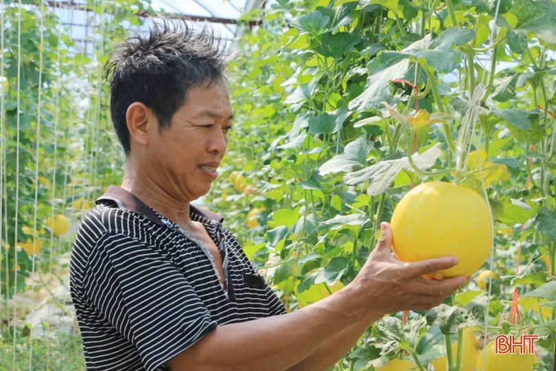 Sản phẩm nông nghiệp Hà Tĩnh đắt hàng, được giá dịp rằm tháng 7