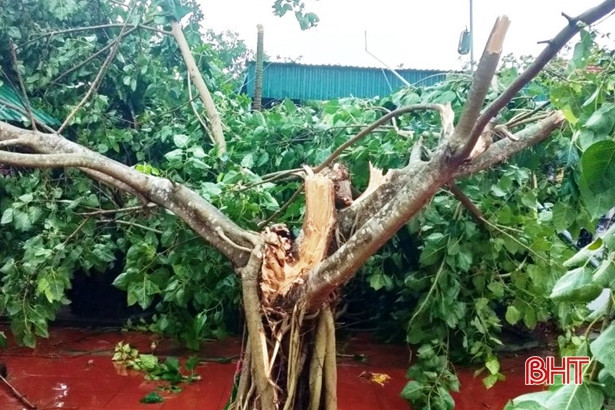 Lốc xoáy làm tốc mái 9 nhà dân ở xã ven biển Hà Tĩnh