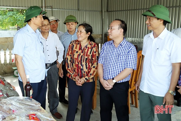 Giám đốc HTX chế biến hải sản ở Hà Tĩnh được tặng danh hiệu “Nông dân Việt Nam xuất sắc”