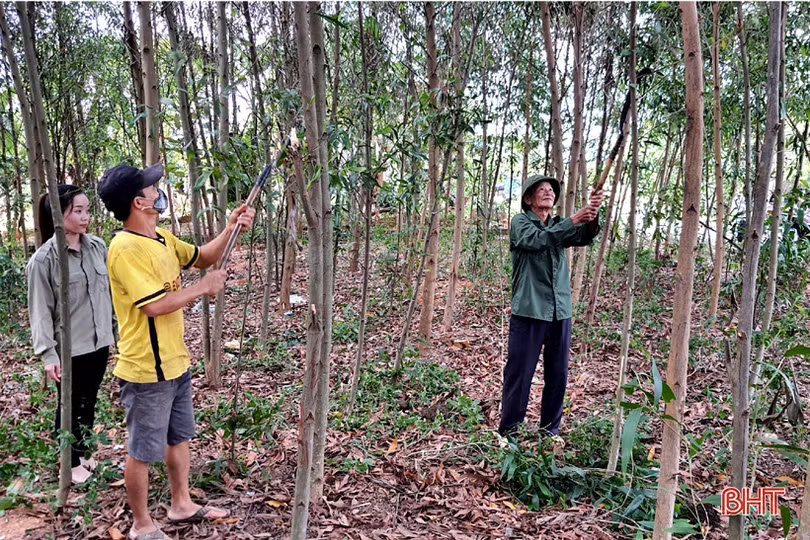 3 nữ thủ lĩnh” chung tay xây dựng khu dân cư mẫu ở Kỳ Anh