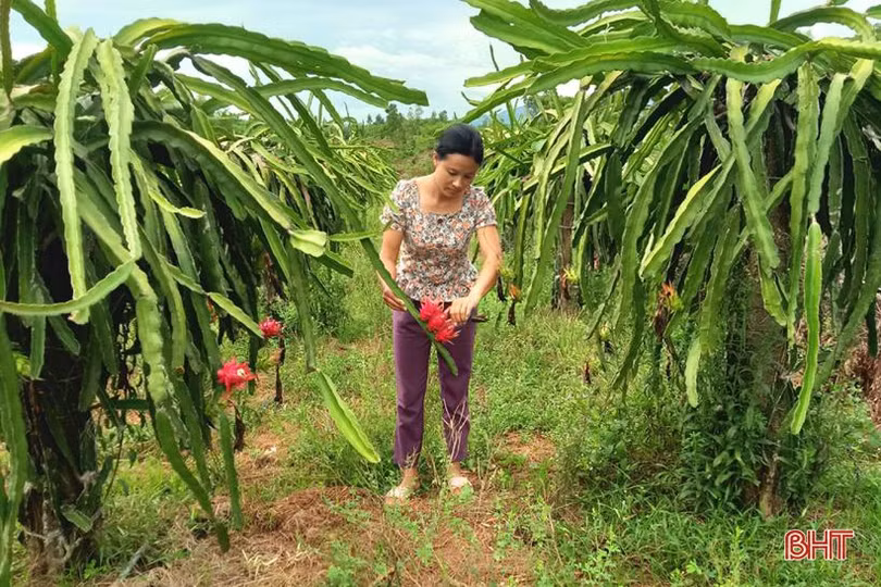 3 nữ thủ lĩnh” chung tay xây dựng khu dân cư mẫu ở Kỳ Anh