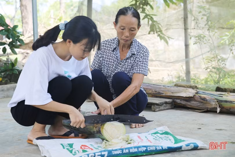 Vừa được kết nạp Đảng, nữ sinh trường huyện trở thành 1 trong 3 thí sinh đạt điểm khối C cao nhất Hà Tĩnh