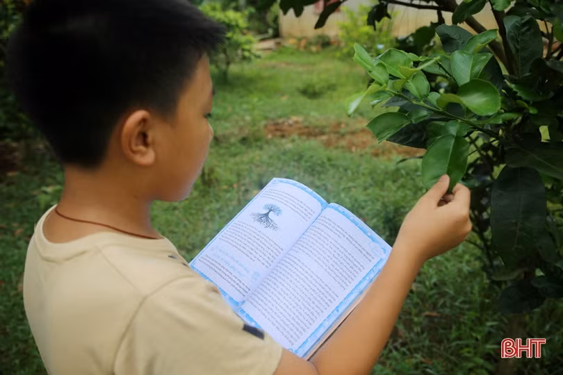 “Ngôi nhà trí tuệ”, nơi “dạo chơi” của học sinh nông thôn Hà Tĩnh