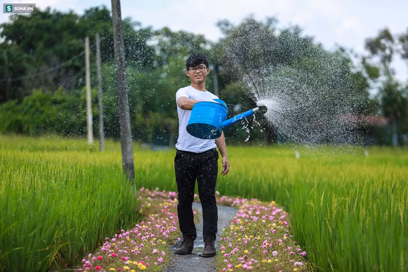 Con đường hoa mười giờ len lỏi giữa đồng lúa xanh đẹp như tranh ở Sài Gòn