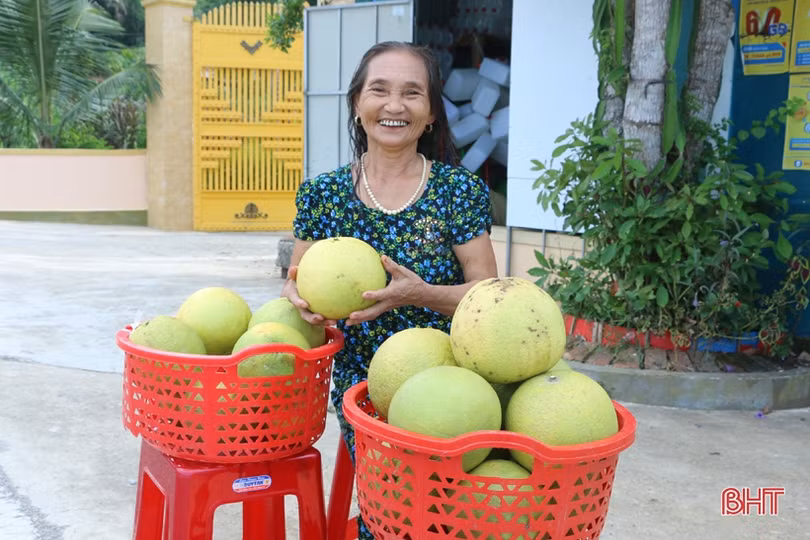 Sản phẩm nông nghiệp Hà Tĩnh đắt hàng, được giá dịp rằm tháng 7