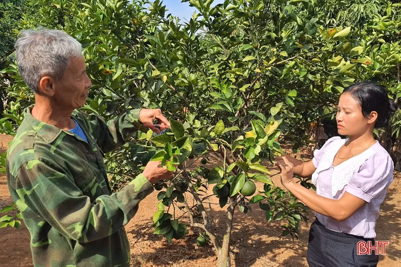 3 nữ thủ lĩnh” chung tay xây dựng khu dân cư mẫu ở Kỳ Anh