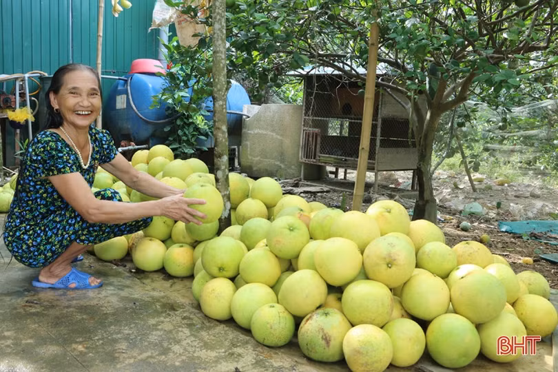 Sản phẩm nông nghiệp Hà Tĩnh đắt hàng, được giá dịp rằm tháng 7