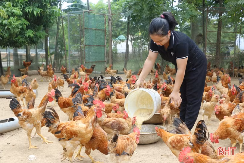 Sản phẩm nông nghiệp Hà Tĩnh đắt hàng, được giá dịp rằm tháng 7