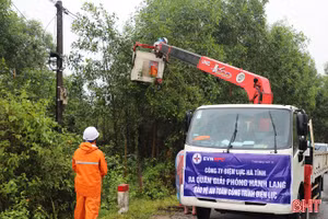 Điện lực Hà Tĩnh ra quân giải phóng hành lang bảo vệ an toàn lưới điện