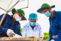 Giá trị của khoa học từ bài toán thực tiễn trong Chiến dịch 500 ngày đêm