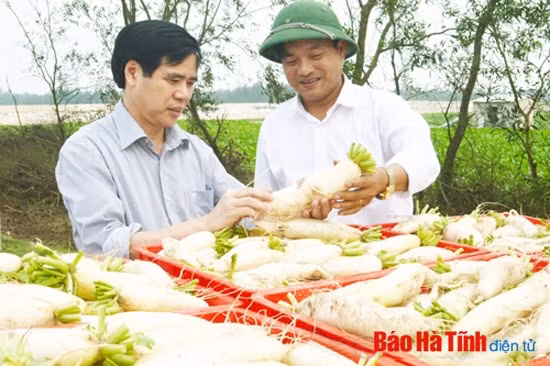 Tạo động lực thúc đẩy doanh nghiệp Hà Tĩnh phát triển bền vững ảnh 3