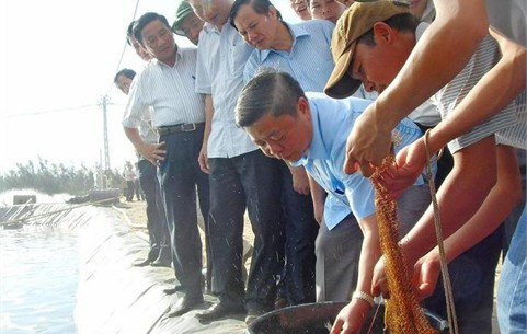 Chủ tịch UBND tỉnh cùng đại diện lãnh đạo các Sở, ban ngành tham quan mô hình nuôi tôm chân he trên cát tại xã Xuân Đan