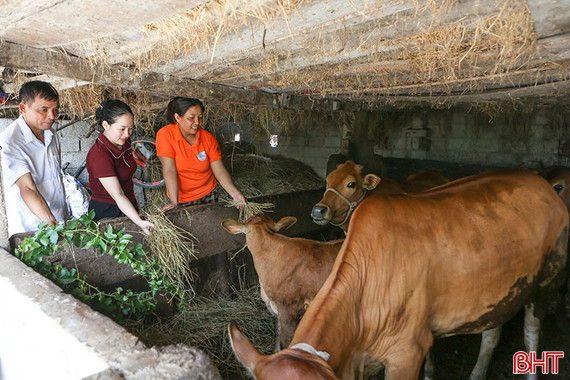 Nâng cao quyền năng phụ nữ từ dự án của Tổ chức Bánh mì cho thế giới