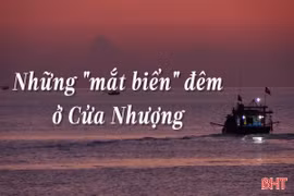 Những "mắt biển" đêm ở Cửa Nhượng