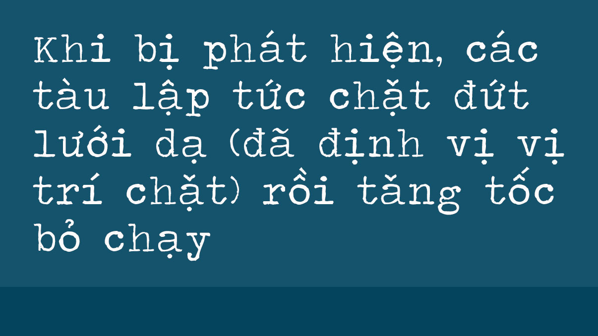 Vấn nạn tàu giã cào trên vùng biển Hà Tĩnh (bài 2): Làm gì để trả lại bình yên cho ngư dân? ảnh 3 Vấn nạn tàu giã cào trên vùng biển Hà Tĩnh (bài 2): Làm gì để trả lại bình yên cho ngư dân?