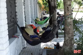 Những giấc ngủ bên vỉa hè ngày nắng nóng 