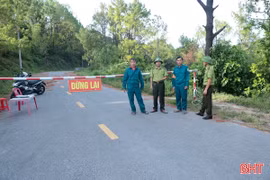 Hà Tĩnh lập "lá chắn" ngăn cháy rừng giữa cao điểm nắng nóng