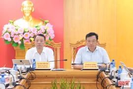 Chủ tịch UBND tỉnh chỉ đạo trực tuyến công tác phòng chống cháy rừng