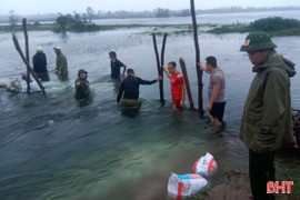 Gia cố nhanh bờ bao moong mỏ dự án mỏ sắt Thạch Khê bị sạt lở